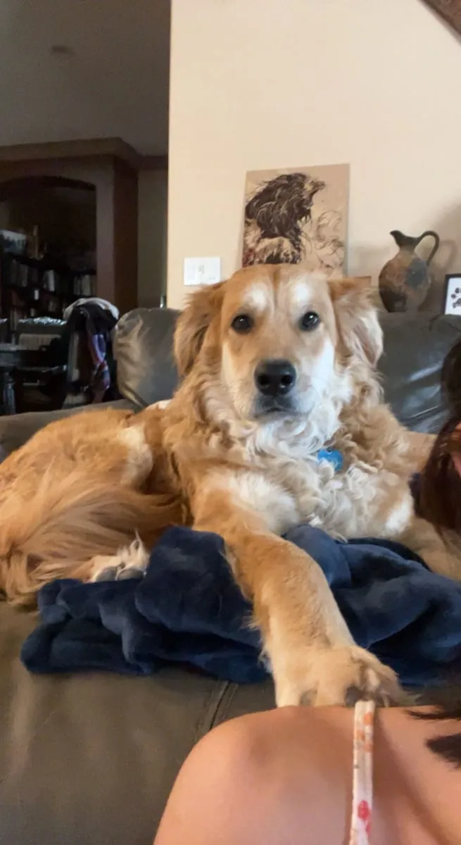 Keanu, a member of the pet family